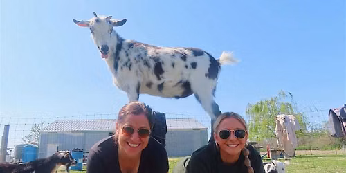 Goat Yoga at Alton Farmers Market