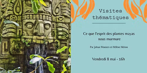 Visite - Ce que l'esprit des plantes mayas nous murmure