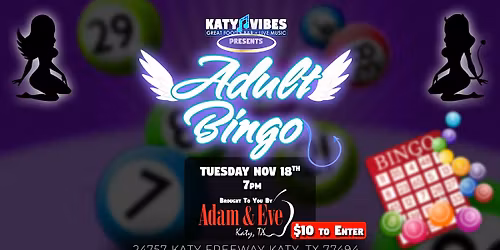 Adult Bingo at Katy Vibes!