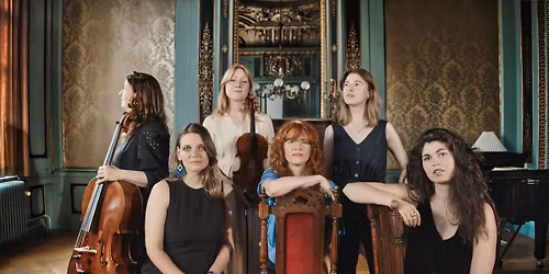 Vox Sturnus | Traveling Light