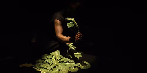 Performance: Transtraterrestrial