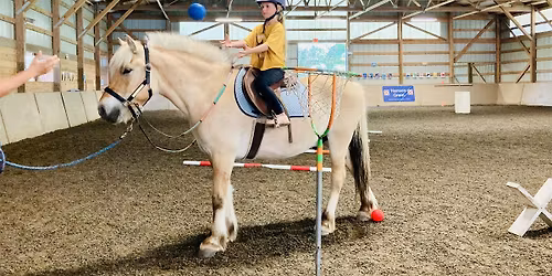 Weekly Pony Playgroup - 3 Sundays in November (Ages 5 - 10)