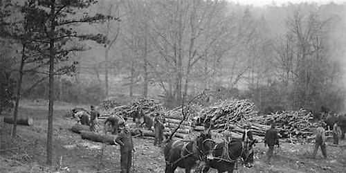 History & Archaeology of the Arboretum