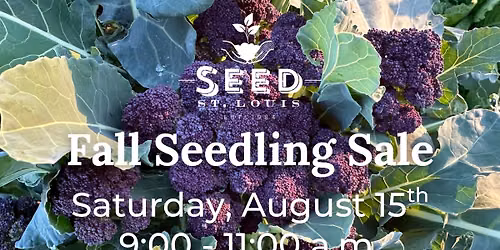 Fall Seedling Sale