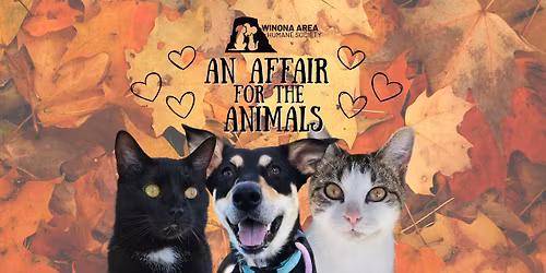 An Affair for the Animals \u2013 Celebrating 25 Years of Compassion