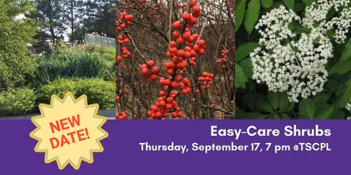 Easy-Care Shrubs