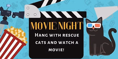 Movie Night with Cats