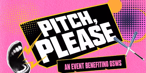 Pitch, Please Gay Softball World Series Benefit