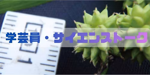 \u5b66\u82b8\u54e1\u30b5\u30a4\u30a8\u30f3\u30b9\u30c8\u30fc\u30af\u30fb\u300c\u6700\u5f8c\u306e\u5916\u56fd\u4eba\u30d7\u30e9\u30f3\u30c8\u30cf\u30f3\u30bf\u30fc\u300d\u30d5\u30a9\u30fc\u30ea\u30fc\u795e\u7236\u306e\u529f\u7e3e\u3068\u690d\u7269\u6a19\u672c\u306e\u8b0e\u306b\u8feb\u308b
