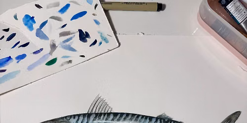 The Wonders Below: An exploration of the beauty found deep in the ocean. 