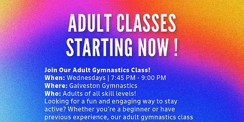 Adult Gymnastics Class!