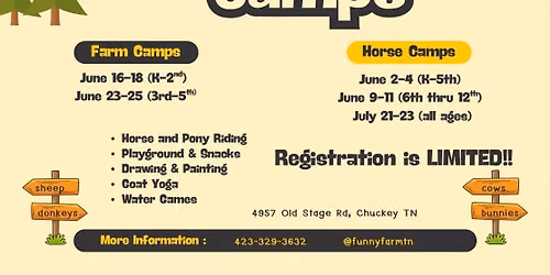 Last Chance- July Horse Camp!