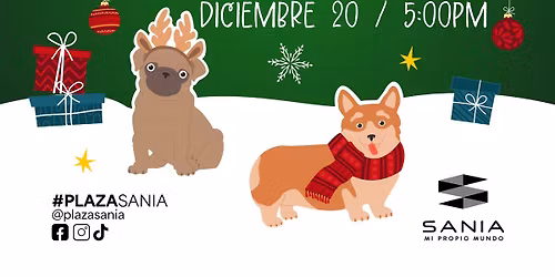 Santa para mascotas