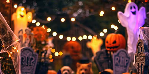 All-Inclusive Dog-Friendly Halloween Vacation!