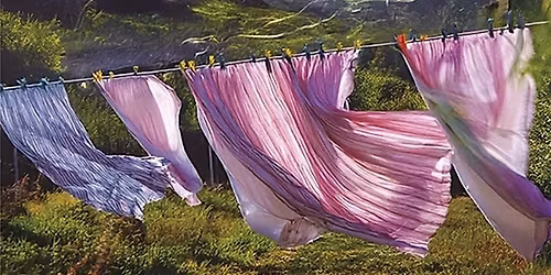 Launch of Pamela Gormally's debut poetry collection