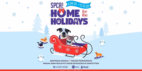 Home for the Holidays