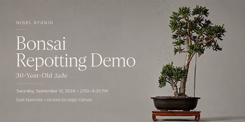 Bonsai Repotting Demo | 30-Year-Old Jade