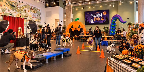 3rd Annual Haunted Hub