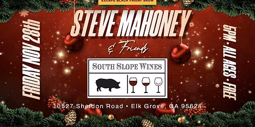 Steve Mahoney & Friends HOLIDAY JAMS