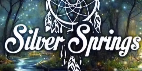 Silver Springs - A Fleetwood Mac Experience