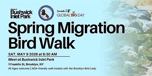 Bushwick Inlet World Migratory Bird Day Bird Walk