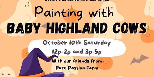Painting with Baby Micro Mini Highland Cows