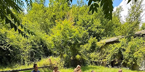 Playfight, la lotta che connette... giocando!