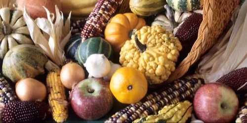 Thanksgiving Celebration