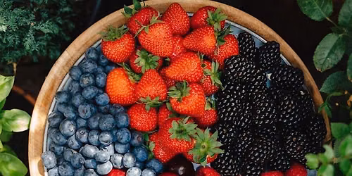 Free Garden Class: All About Berries.
