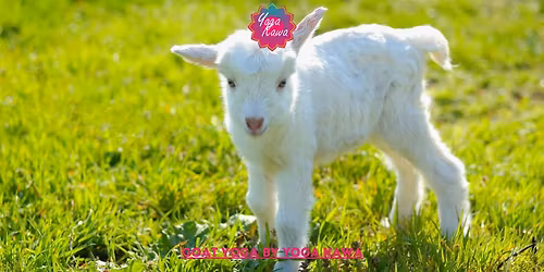 Goat Yoga (Family & Adults - Friendly) by Yoga Kawa Toronto