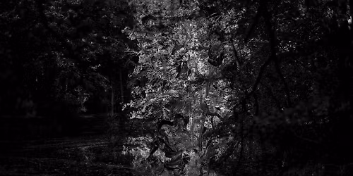 Fernisering - Nikolaj Callesen