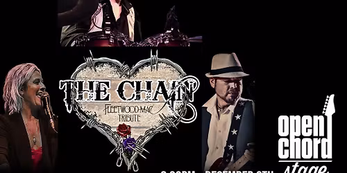 Dani Kerr Performing with The Chain at Open Chord- Knoxville, TN!