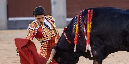 Bullfighting Madrid 2026 - Feria de Oto\u00f1o - Novillada con picadores Tickets
