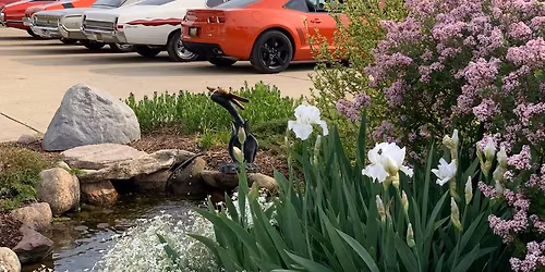 Hot Rods, Hot Dogs & Waterfalls