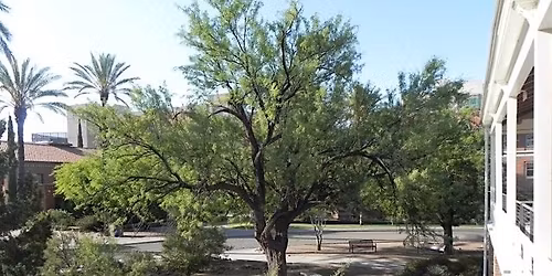 Old Main: New Directions in Landscape U of Arizona Campus Arboretum Tour