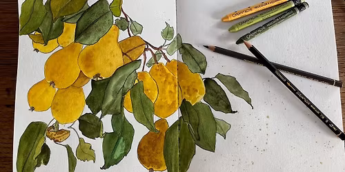 Discover Caran d'Ache with Megan Roberts