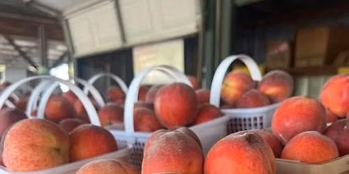 Peach Party