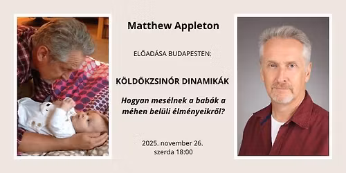 K\u00d6LD\u00d6KZSIN\u00d3R DINAMIK\u00c1K - Hogyan mes\u00e9lnek a bab\u00e1k a m\u00e9hen bel\u00fcli \u00e9lm\u00e9nyeikr\u0151l?