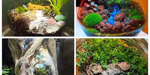 Tea & Terrariums with Gigi\u2019s Glass Gardens