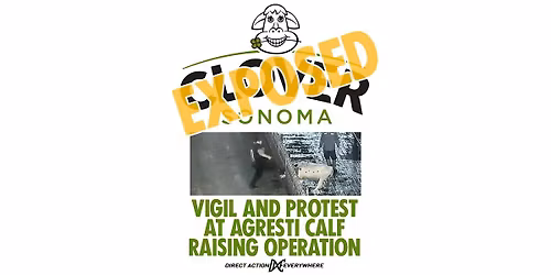 Clover Exposed: Vigil and Protest at Agresti Calf Raising Operation