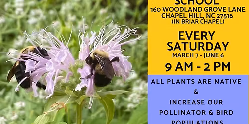 Jerilyn's Native Plants of the Piedmont Native Plant Sale