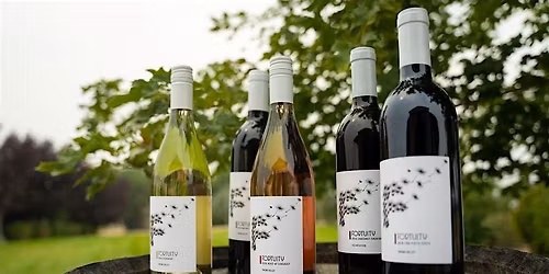 Fortuity Cellars Pop-Up Wine Tasting