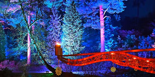 Post Xmas Social Ride at Bedgebury Forest