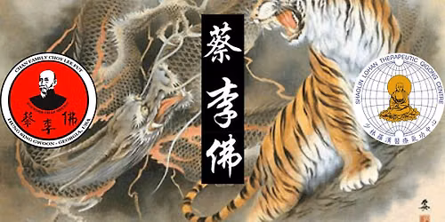 Cross Pattern Blocking Tiger Fist Form