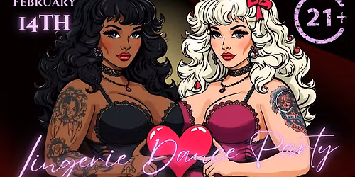 Dripping with Desire: Lingerie Dance Party with DJ Paul!