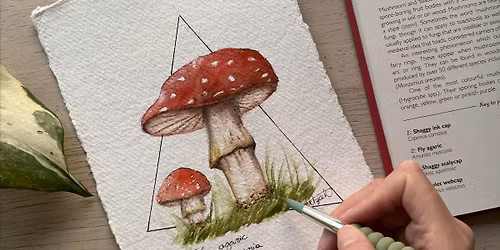 Botanical Watercolour for Beginners - Mushroom