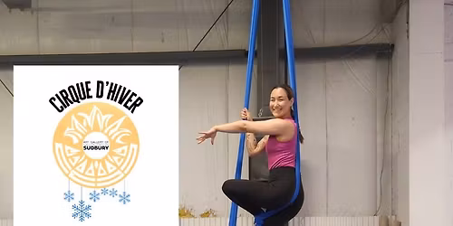 Cirque d'hiver 2025 in support of the Art Gallery of Sudbury