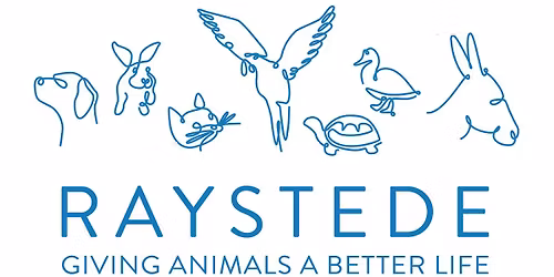 Raystede Centre for Animal Welfare 24th November to 30th November