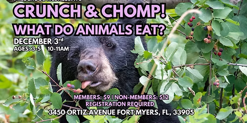 Preschool: Crunch & Chomp! 