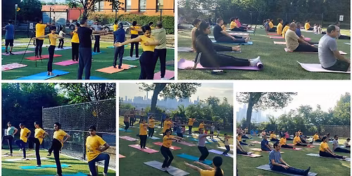 Free International Yoga Day